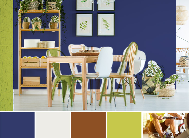 Fitness inspired bold coloured dining room